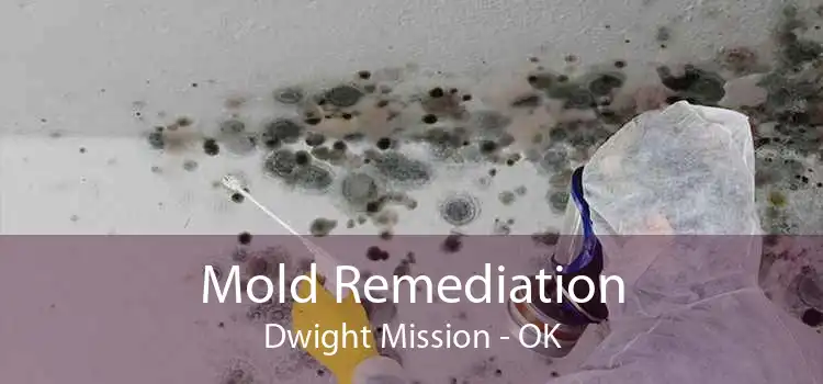 Mold Remediation Dwight Mission - OK