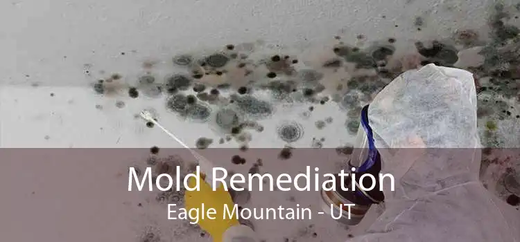 Mold Remediation Eagle Mountain - UT