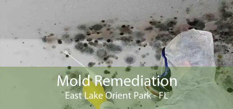 Mold Remediation East Lake Orient Park - FL