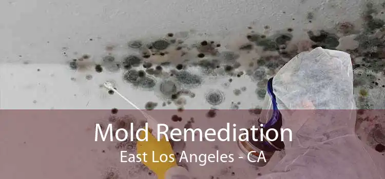 Mold Remediation East Los Angeles - CA