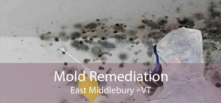 Mold Remediation East Middlebury - VT