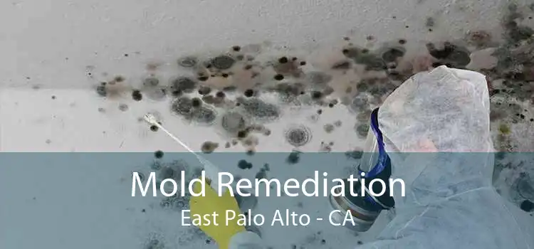 Mold Remediation East Palo Alto - CA