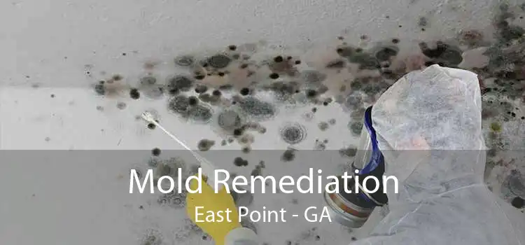 Mold Remediation East Point - GA