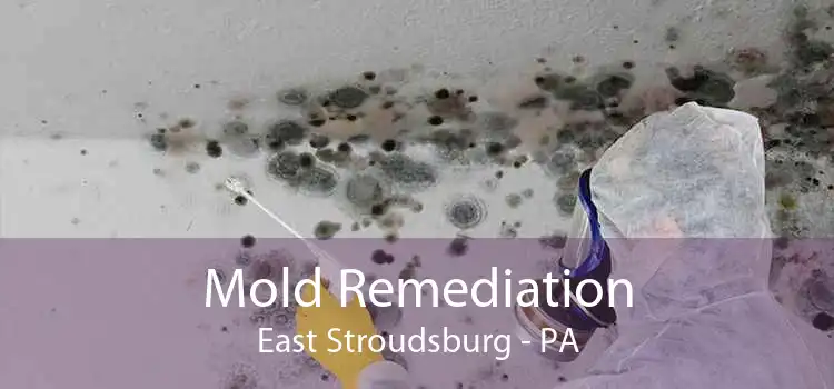 Mold Remediation East Stroudsburg - PA