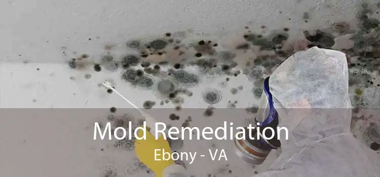 Mold Remediation Ebony - VA