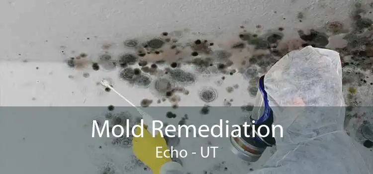 Mold Remediation Echo - UT