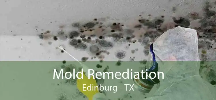 Mold Remediation Edinburg - TX