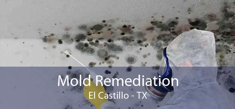 Mold Remediation El Castillo - TX