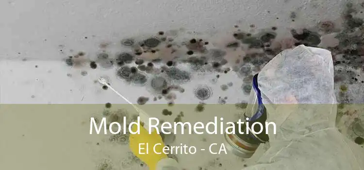 Mold Remediation El Cerrito - CA