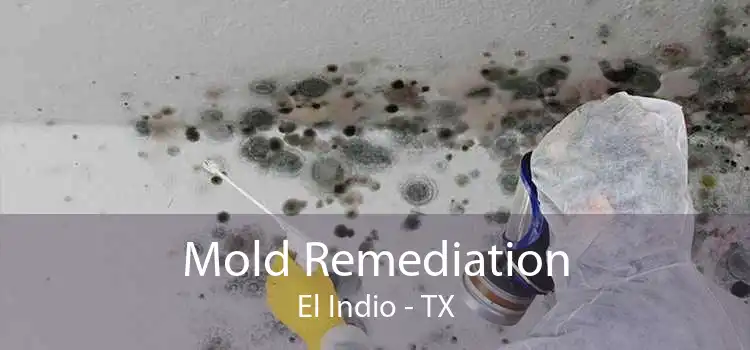 Mold Remediation El Indio - TX