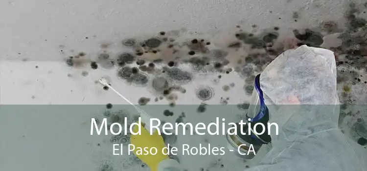Mold Remediation El Paso de Robles - CA