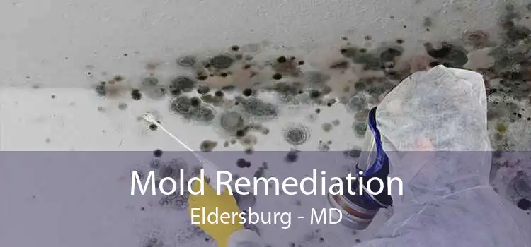 Mold Remediation Eldersburg - MD
