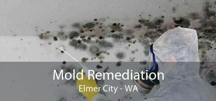 Mold Remediation Elmer City - WA