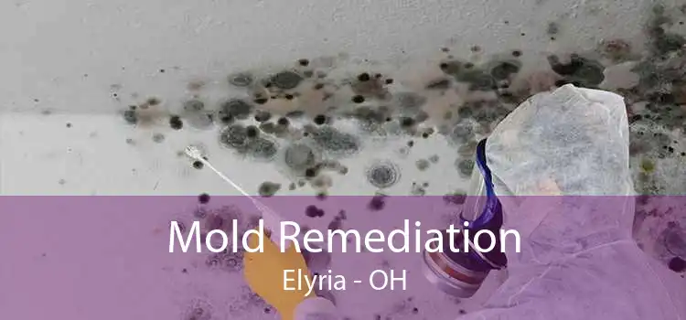 Mold Remediation Elyria - OH