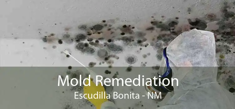 Mold Remediation Escudilla Bonita - NM