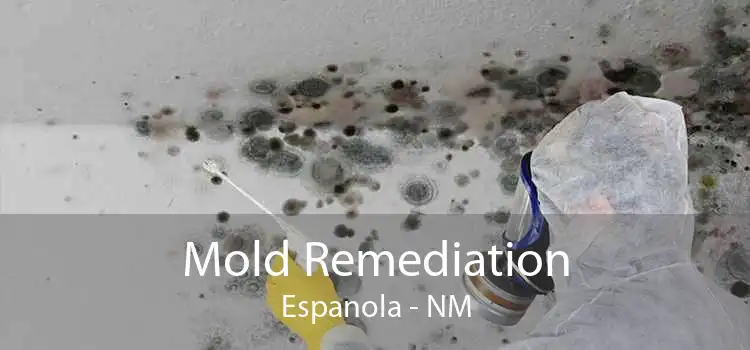 Mold Remediation Espanola - NM