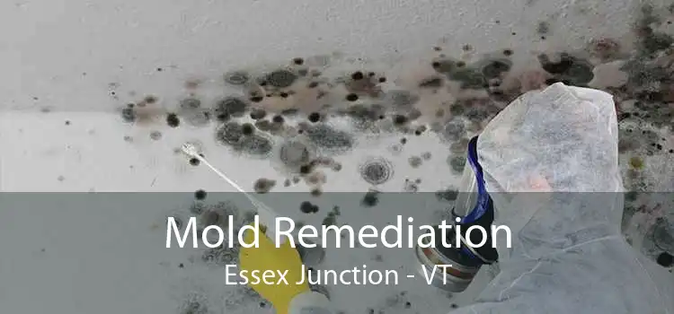 Mold Remediation Essex Junction - VT
