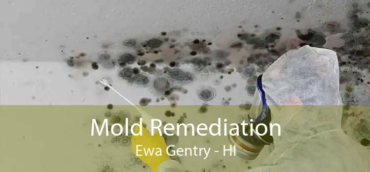 Mold Remediation Ewa Gentry - HI
