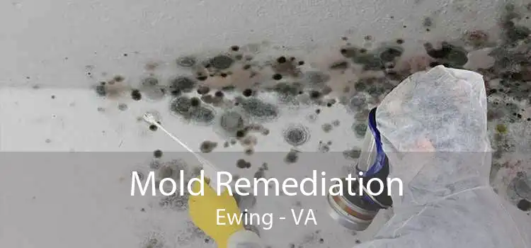 Mold Remediation Ewing - VA