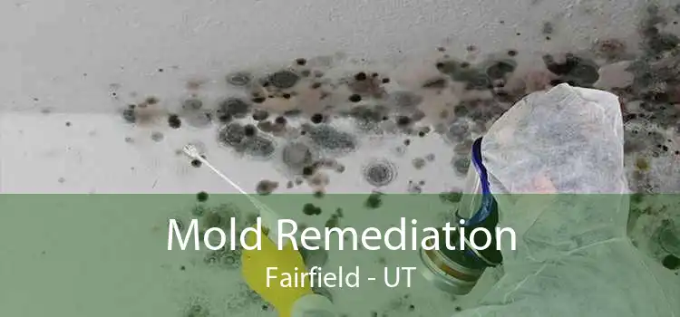 Mold Remediation Fairfield - UT