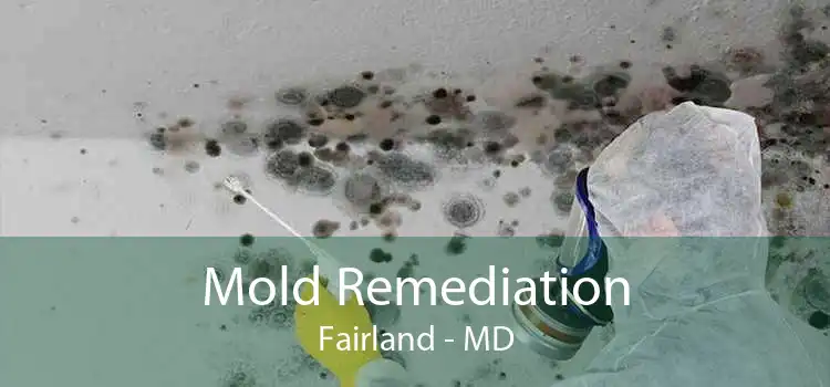 Mold Remediation Fairland - MD