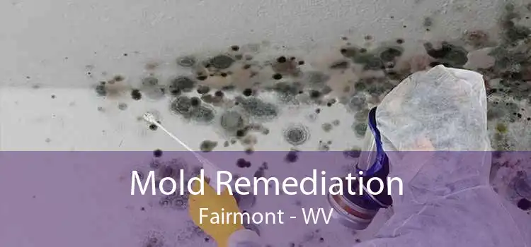 Mold Remediation Fairmont - WV