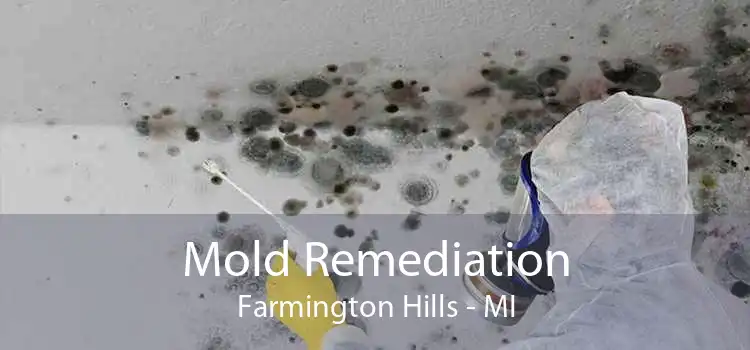 Mold Remediation Farmington Hills - MI