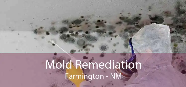 Mold Remediation Farmington - NM