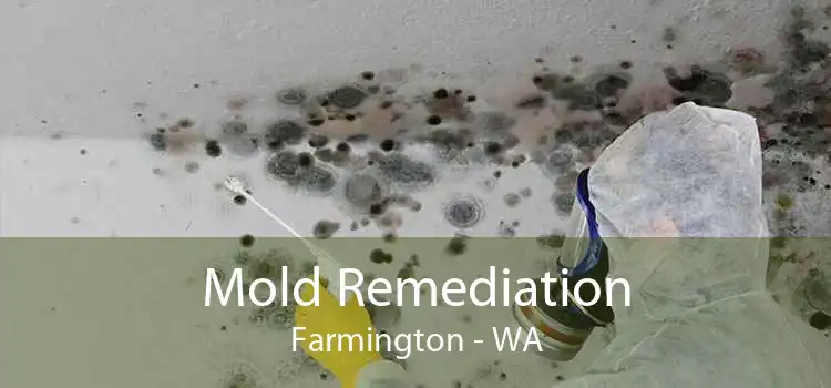 Mold Remediation Farmington - WA