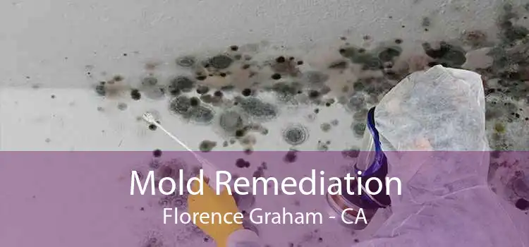 Mold Remediation Florence Graham - CA