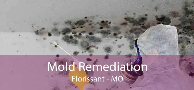 Mold Remediation Florissant - MO