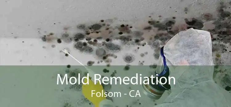 Mold Remediation Folsom - CA