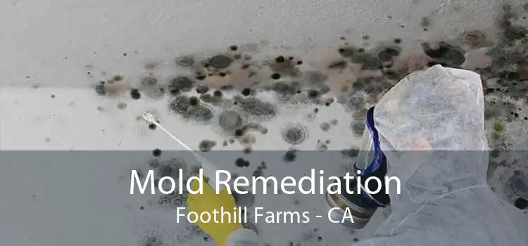 Mold Remediation Foothill Farms - CA