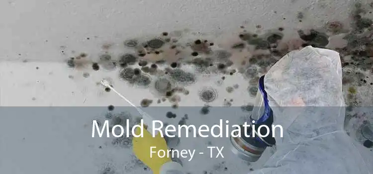 Mold Remediation Forney - TX