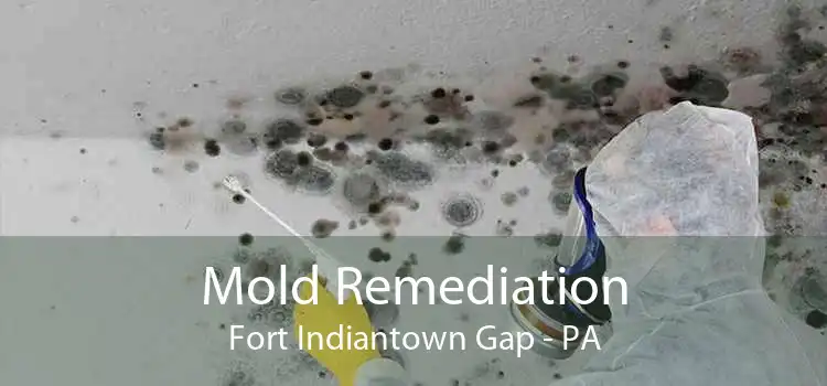 Mold Remediation Fort Indiantown Gap - PA
