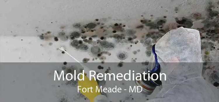 Mold Remediation Fort Meade - MD