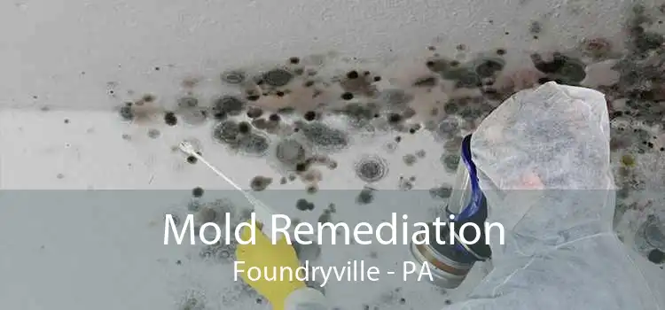 Mold Remediation Foundryville - PA