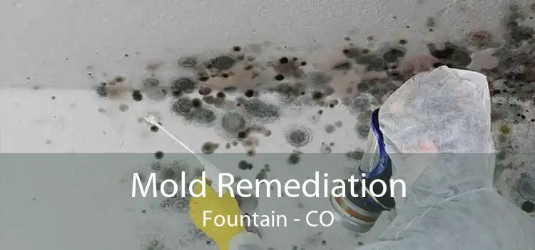 Mold Remediation Fountain - CO