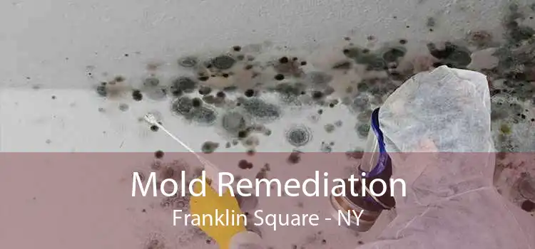 Mold Remediation Franklin Square - NY