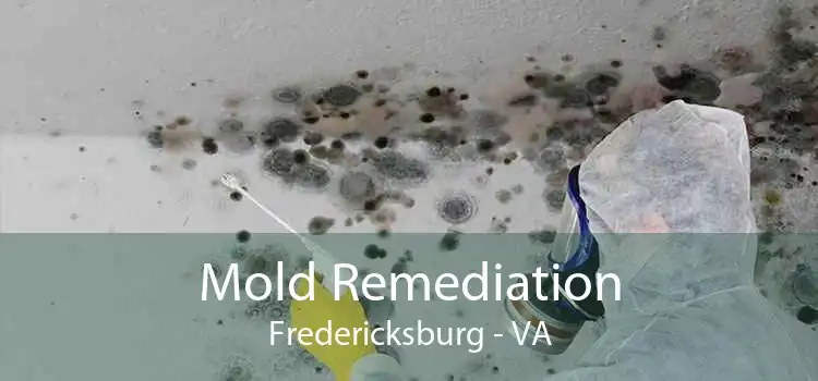 Mold Remediation Fredericksburg - VA