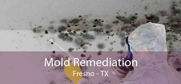 Mold Remediation Fresno - TX
