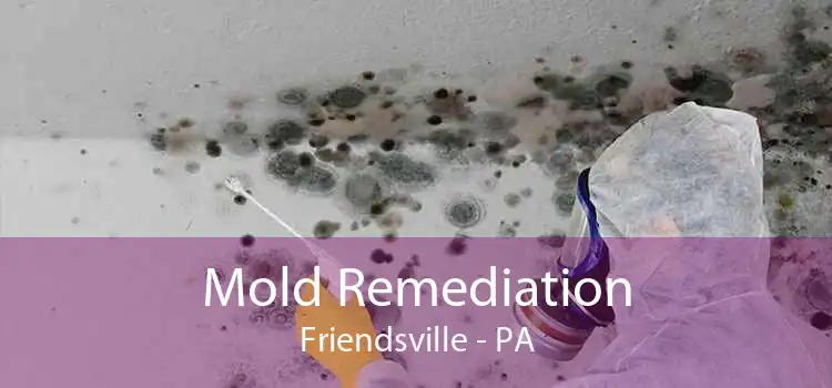 Mold Remediation Friendsville - PA