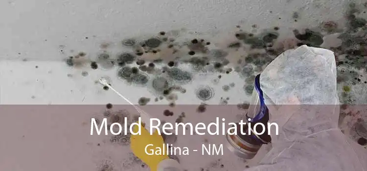 Mold Remediation Gallina - NM