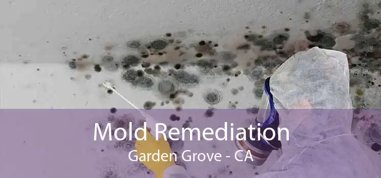 Mold Remediation Garden Grove - CA