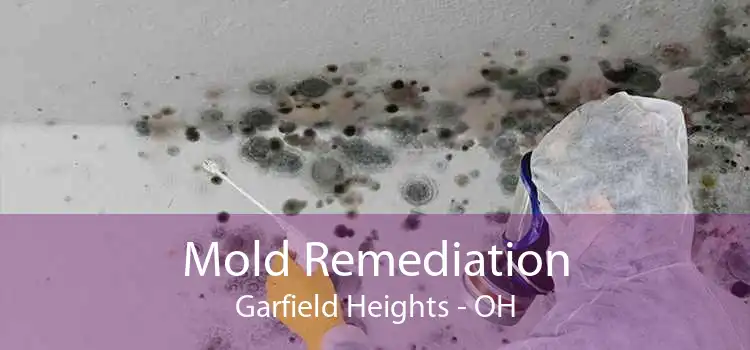 Mold Remediation Garfield Heights - OH