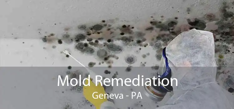Mold Remediation Geneva - PA