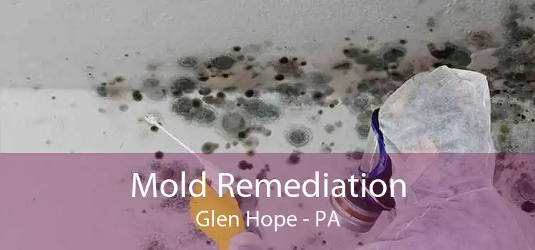 Mold Remediation Glen Hope - PA