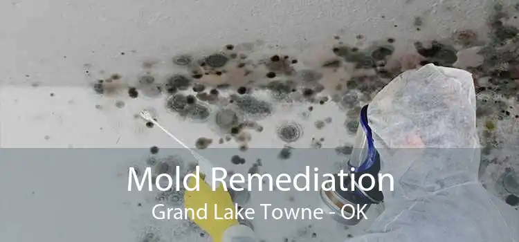Mold Remediation Grand Lake Towne - OK
