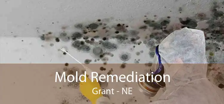 Mold Remediation Grant - NE