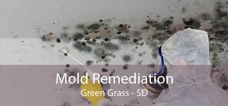 Mold Remediation Green Grass - SD